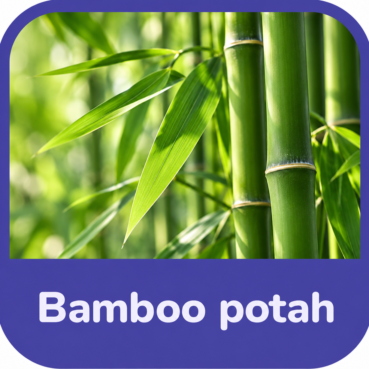 ChatGPT Image 18. 9. 2026 13_58_49